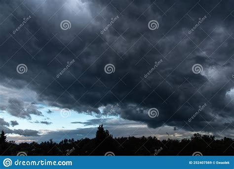 Stormy Sky With Trees In The Forest On The Horizon Stock Image Image