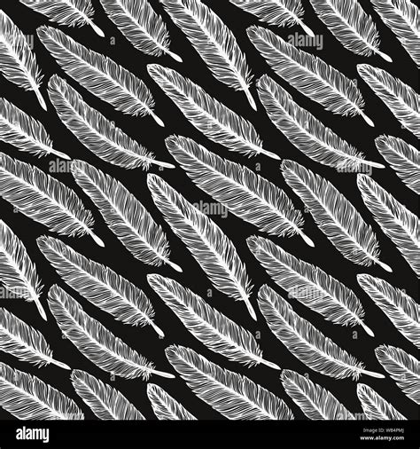 Vintage Feather Seamless Pattern Hand Drawn Vector Background With