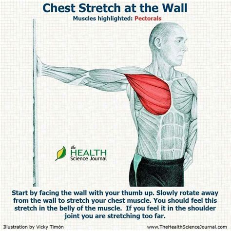 Pin By Stef Bruin On Health And Fitness That I Love Chest Stretch