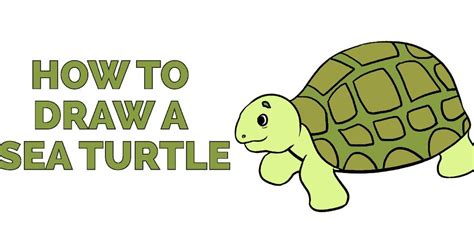 Check out our kid turtle drawing selection for the very best in unique or custom, handmade pieces from our shops. Learn to draw a sea turtle This step-by-step tutorial ...