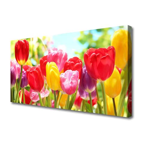 Tulipany Kwiaty Roślina Obraz Canvas Tulup pl