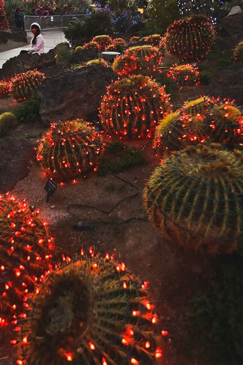 Over 5 000 attend ethel m s cactus garden lighting. Ethel M Chocolate Factory and Botanical Cactus Gardens
