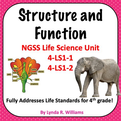 Structure And Function Fourth Grade