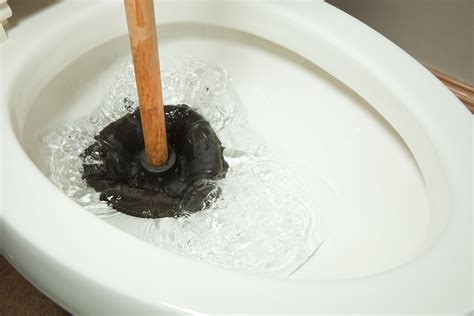 5 Reasons Why Toilets Get Clogged