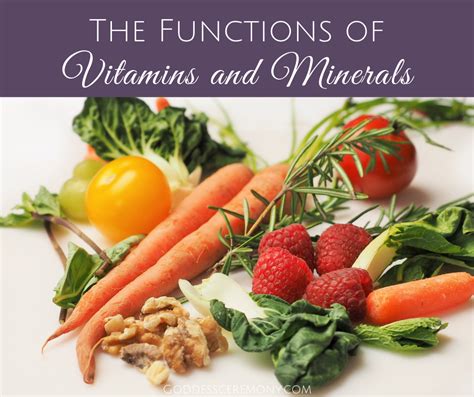 The Functions Of Vitamins And Minerals