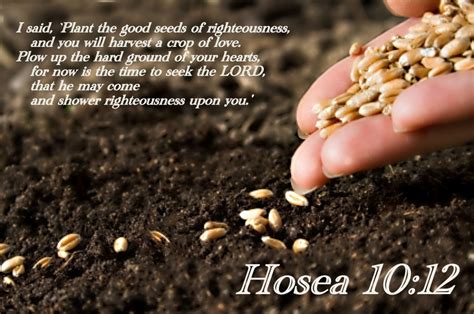 Bible Verse Images For Seeds