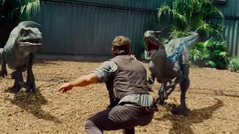 Zookeepers Recreate Chris Pratts Velociraptor Pose Form Jurassic Worl