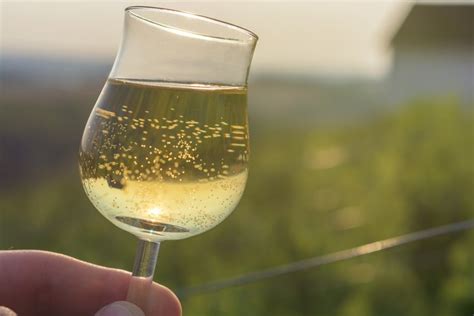 Chardonnay, gewürztraminer, moscato are white grape varieties. Types of Spanish Dry White Wine | LEAFtv