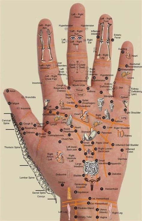 Appuyez Sur Les Points De Votre Main Pour Apaiser Vos Douleurs Hand Reflexology Acupressure