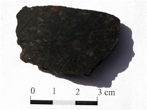 Метеорит Dhofar парный Dhofar 1128 и Dhofar 1170 Музей истории