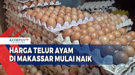 Harga Telur Ayam Di Makassar Mulai Naik Kompas Tv Vidio