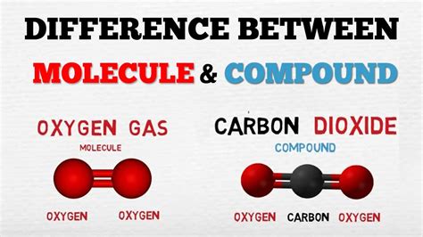 Difference Between A Molecule And A Compound Aboodytv Chemistry