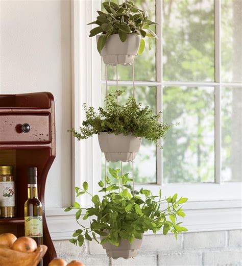 Hanging Plants Indoor Ergonomic Elegant And Stylish