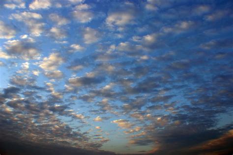 Free Photo Blue Cloudy Sky Blue Clouds Cloudy Free Download Jooinn