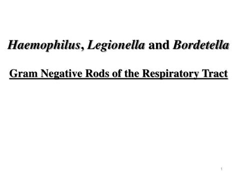 Ppt Haemophilus Legionella And Bordetella Gram Negative Rods Of The