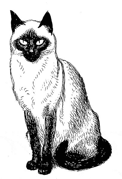 It is restricted solely to notable feline characters from notable animated television shows and film. A drawing of a siamese cat. Imprint October 15, 1949 ...