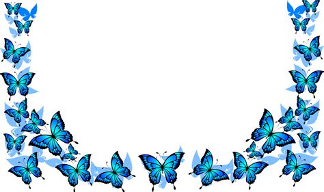 Mariposas Azules Marco Gráficos Vectoriales Gratis En Pixabay Pixabay