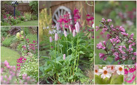 Early summer is wonderful time to visit the garden. What's in bloom in June? - Leavesnbloom Gardening ...