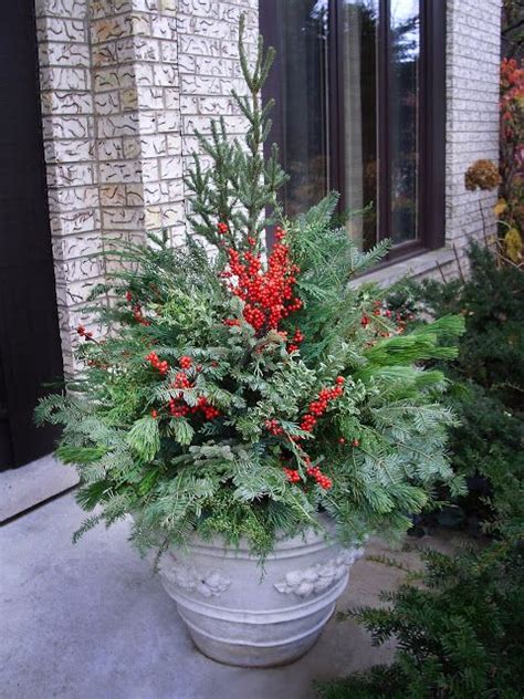 Ten Steps To Great Winter Containers The Hortiholic