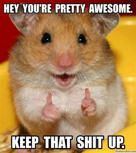 Memes About Being Awesome That Will Make Your Day Sayingimages Com