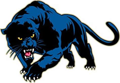Download High Quality Panther Clipart Angry Transparent Png Images