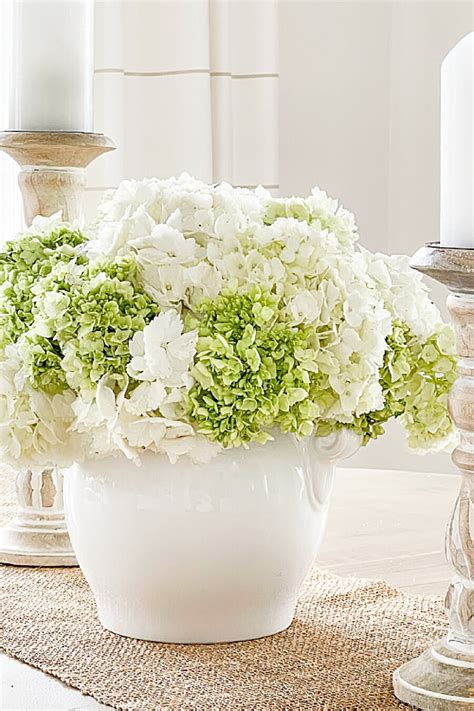 Yellow Hydrangeas The Secret To Growing These Stunning Blooms Timichr
