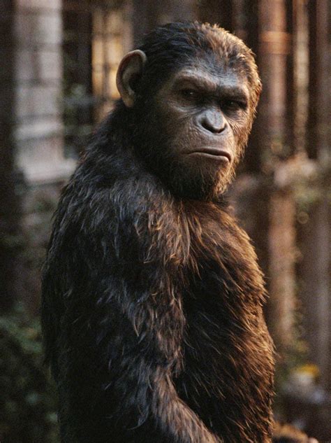 Archives Of The Apes Dawn Of The Planet Of The Apes 2014 Part Twenty