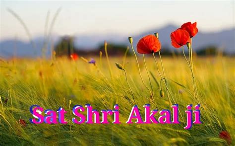Top 10 Sat Shri Akal Ji Images Photos Pictures Greetings For