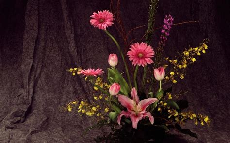 1680x1050 1680x1050 Gerberas Tulips Flowers Song Lily Ikebana