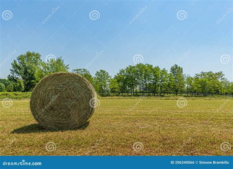 Summer Landscape Of A Meadow With A Bale Of Hay Stock Photo Image Of