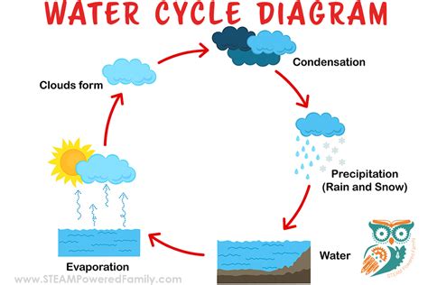 A Simple And Powerful Water Cycle Lesson