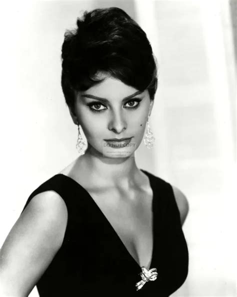 Sophia Loren Legendary Actress And Sex Symbol X Publicity Photo The