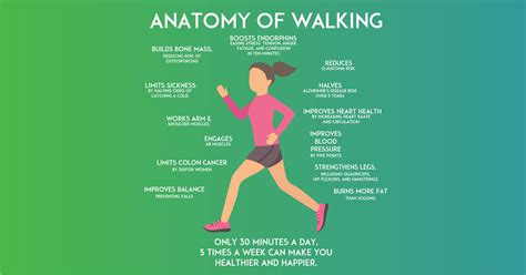 5 Reasons Walking For Weight Loss Works