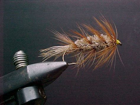 Can this 1 simple tip really kill bed bugs for good? The River's Course: The Lady Becomes a Bug