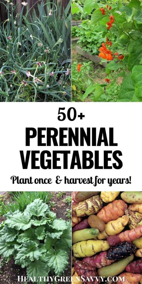 What is a perennial vegetable plant? Perennial Vegetables to Plant Once & Harvest for Years! | Perennial vegetables, Permaculture ...
