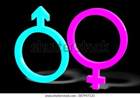 3d gender sex concept male female stock illustration 387947131 shutterstock