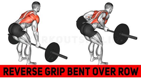 Reverse Grip Bent Over Row Exercise Tutorial Youtube