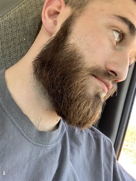 3 Month Beard Need Advice Rbeards