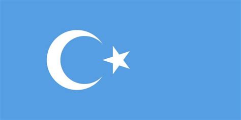 doğu türkistan bayrağı türkler bozkurt bayrak