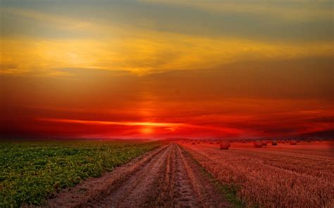 1440x900 Colorful Sunset At Lonely Field 1440x900 Wallpaper Hd Nature