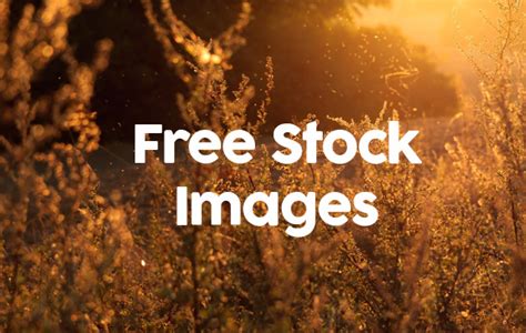 Free Stock Photography Stock Photo File Page 13