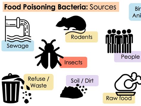Ks4 Wjec Hospitality Unit 01 Lo4 Common Food Poisoning And Bacteria