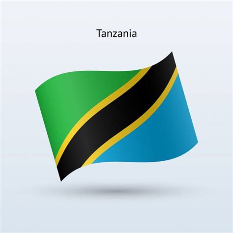 Tanzania Flag Waving Form Vector Illustration — Stock Vector