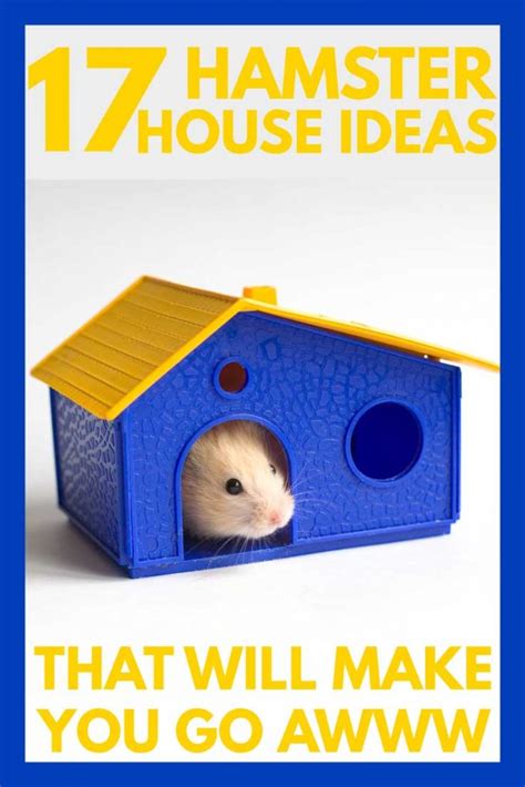 17 Hamster House Ideas That Will Make You Go AWWWW Hamsters101