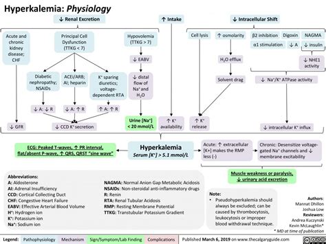 Hyperkalemia Physiology Overview Calgary Guide