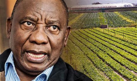 South africa's president cyril ramaphosa has termed his tenure at the helm of the african union as baptism by fire. Is There A Plan In South Africa To Take White Farms And ...