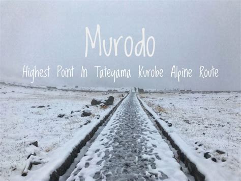 Murodo Highest Point In Tateyama Kurobe Alpine Route Mytravelbuzzg