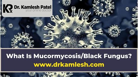 What Is Mucormycosisblack Fungus