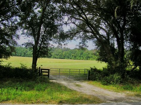 Country garden has listed in fortune global 500 company, ranked 117th in 2020. 30 Acres In North Central Florida : Farm for Sale in Lake ...