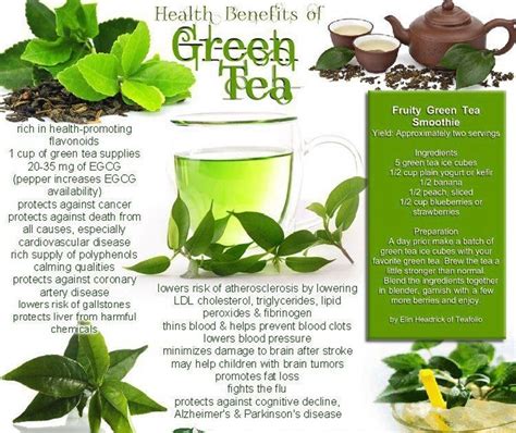 Green tea health benefits are tremendously effective as green tea leaves undergo minimal processing, thus resulting in a higher concentration of antioxidants. Green Tea Benefits - XciteFun.net